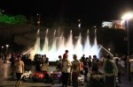 IMG_8306.JPG