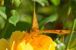 DSC06840.JPG