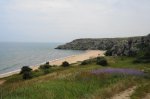 DSC07006.JPG
