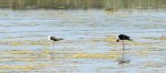 DSC07059.JPG