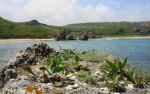 DSC07094.JPG