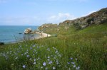 DSC07114.JPG