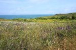 DSC07127.JPG
