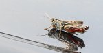 DSC07128.JPG