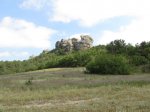 IMG_1775.JPG