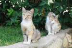 DSC07624.JPG