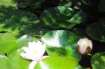 DSC07675.JPG
