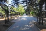 DSC07778.JPG