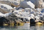 DSC07910.JPG