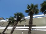 IMG_2295.JPG