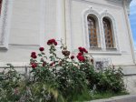 IMG_3020.JPG