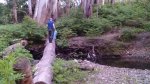 IMG_20160601_195330.jpg